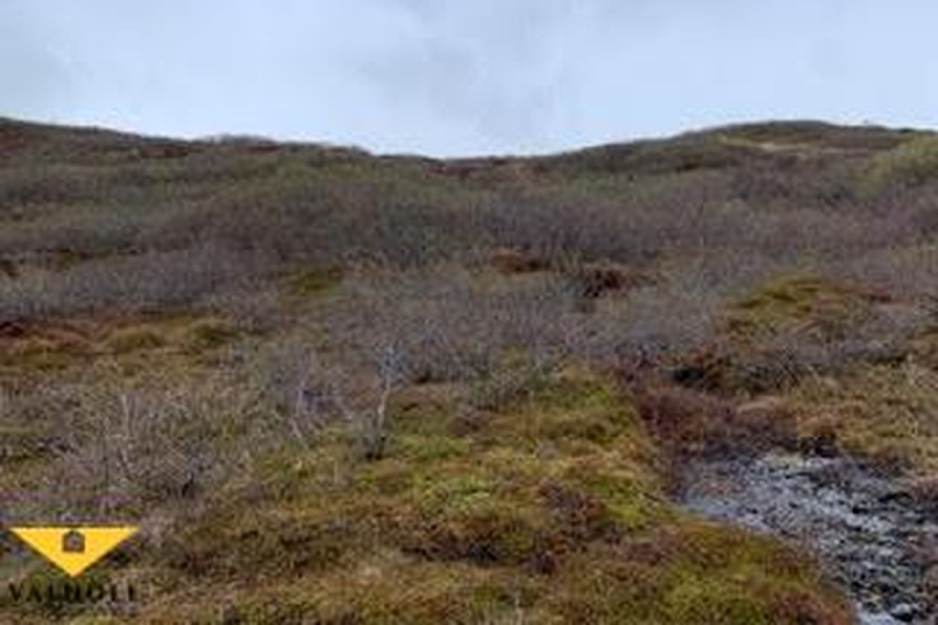 Birkihlíð 40