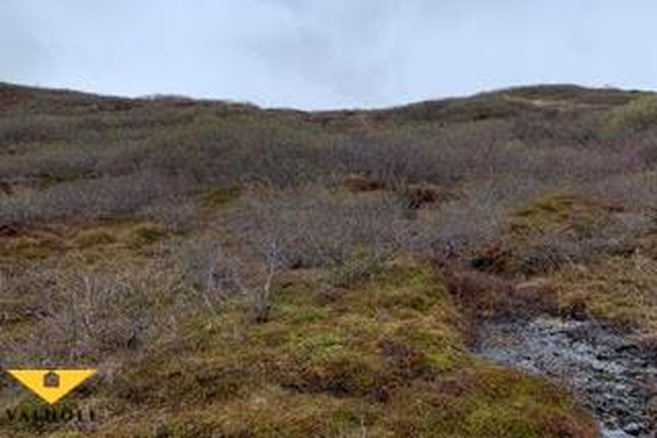 Birkihlíð 40
