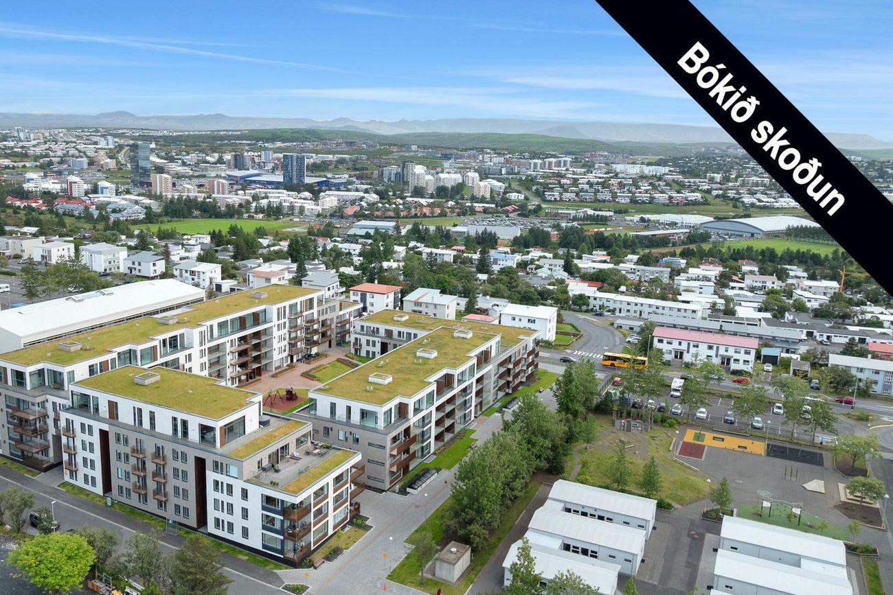 Skólatröð 6