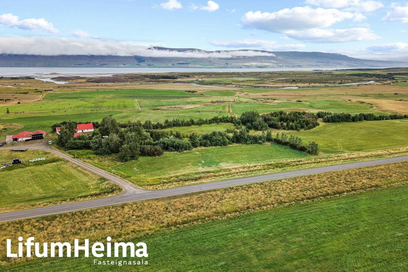 Hof Land (6.5 hektara skiki og hús)