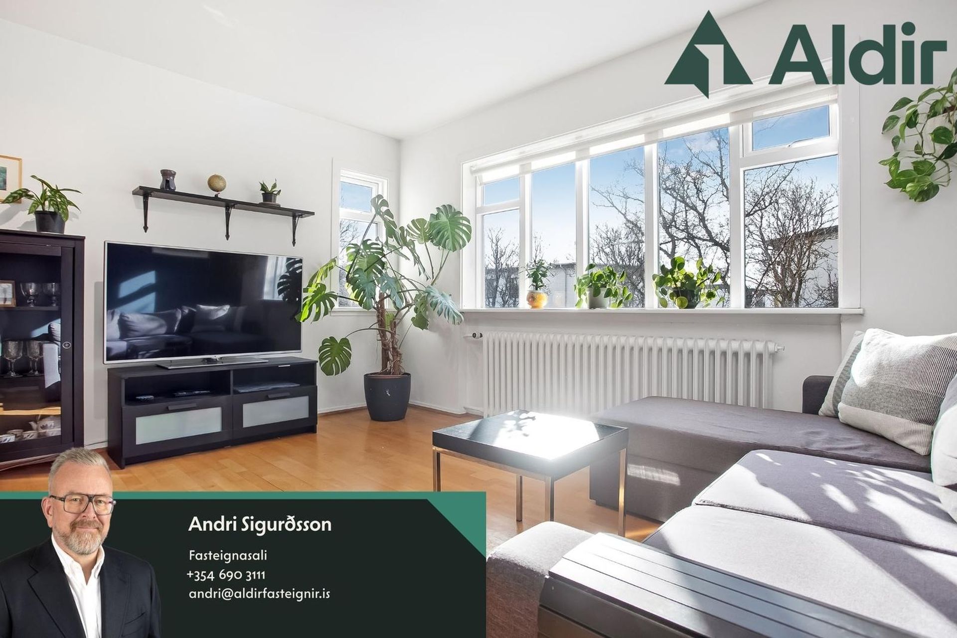 Víðimelur 59