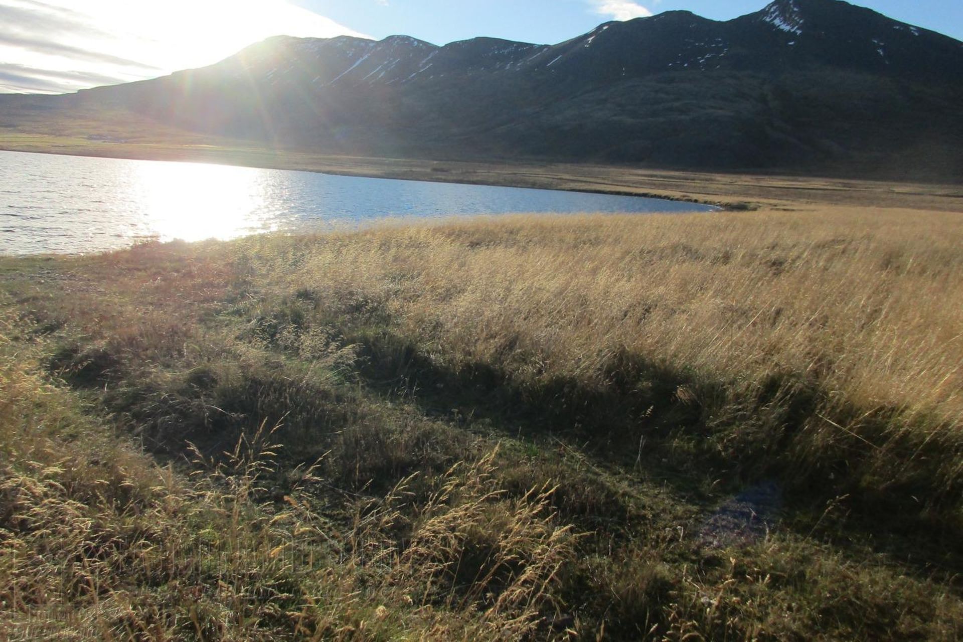 Reykir frístundalóð