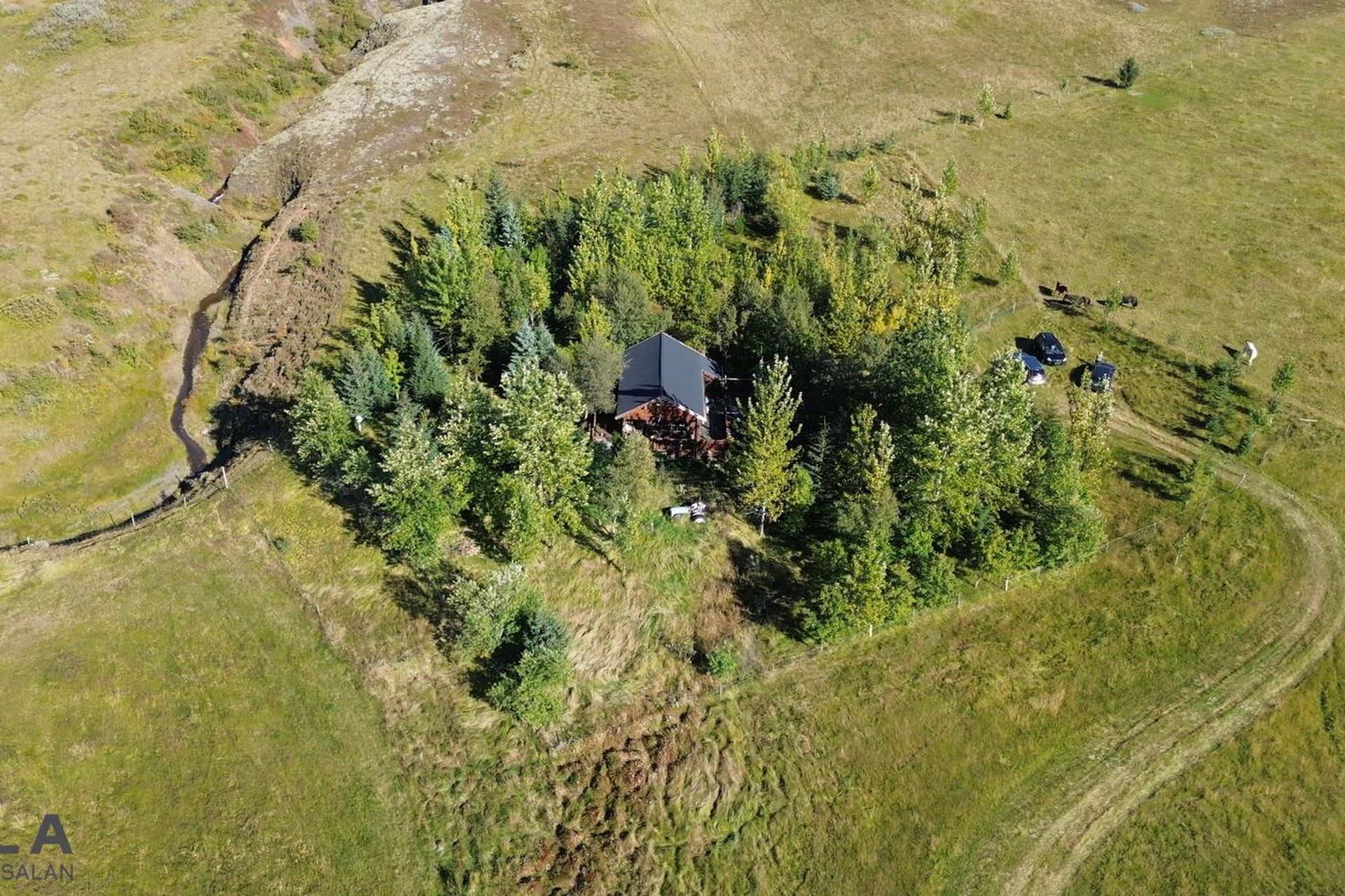 Sölvagil 5