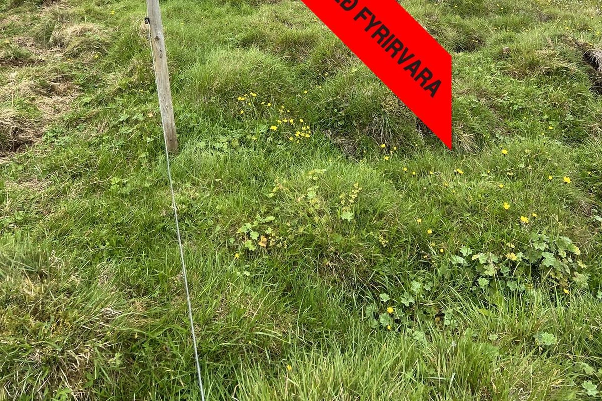 Lóð úr Marteinstungu