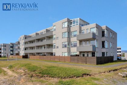 Vindakór 16