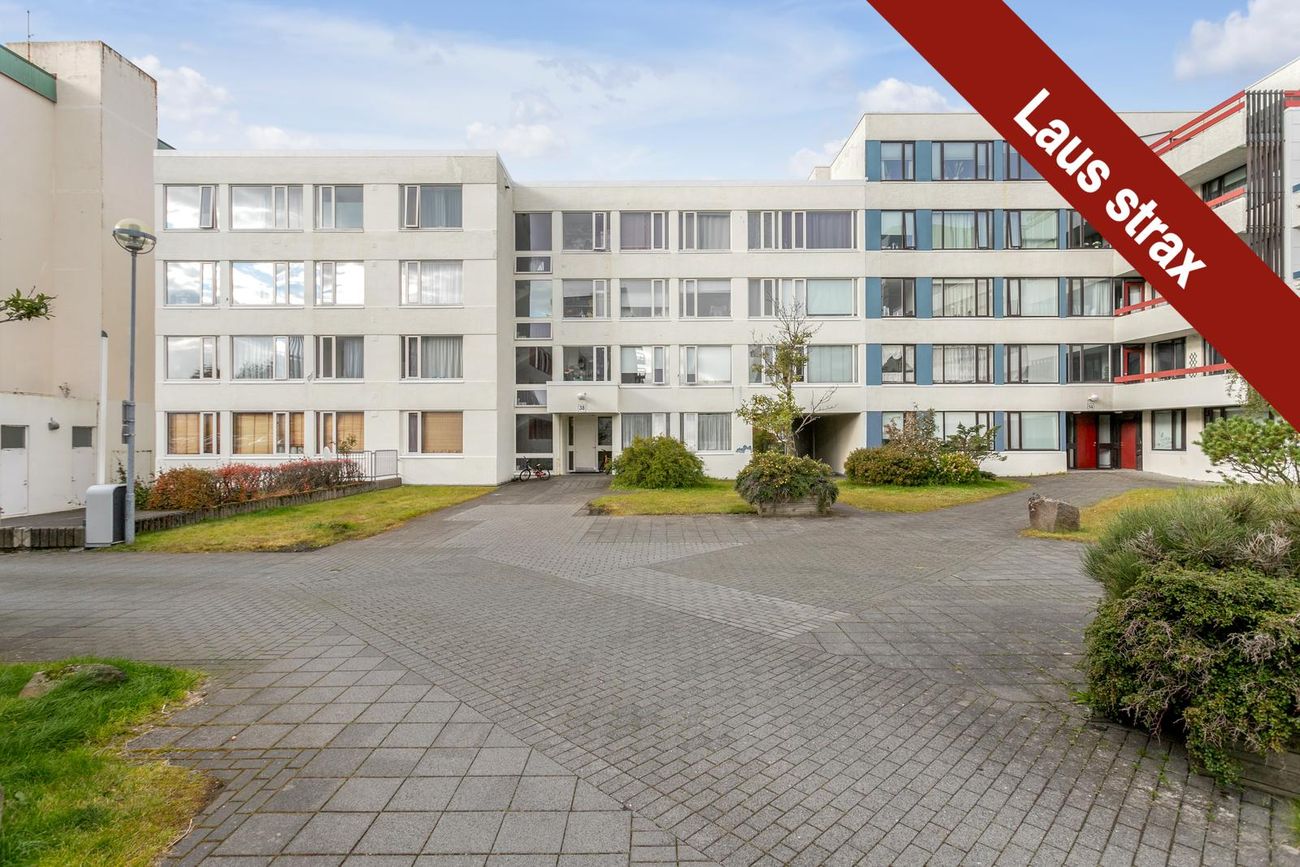 Hamraborg 38