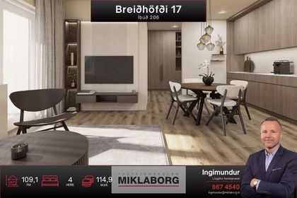 Breiðhöfði 17 (206)