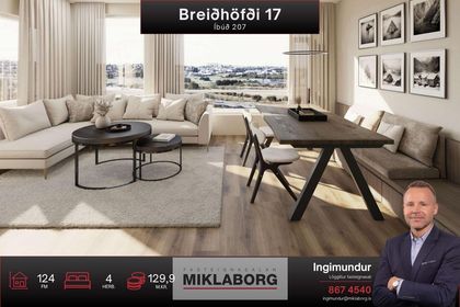Breiðhöfði 17 (207)