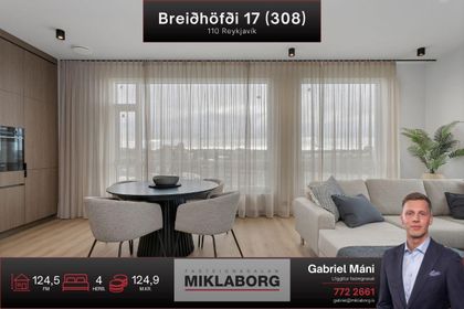 Breiðhöfði 17 (308)