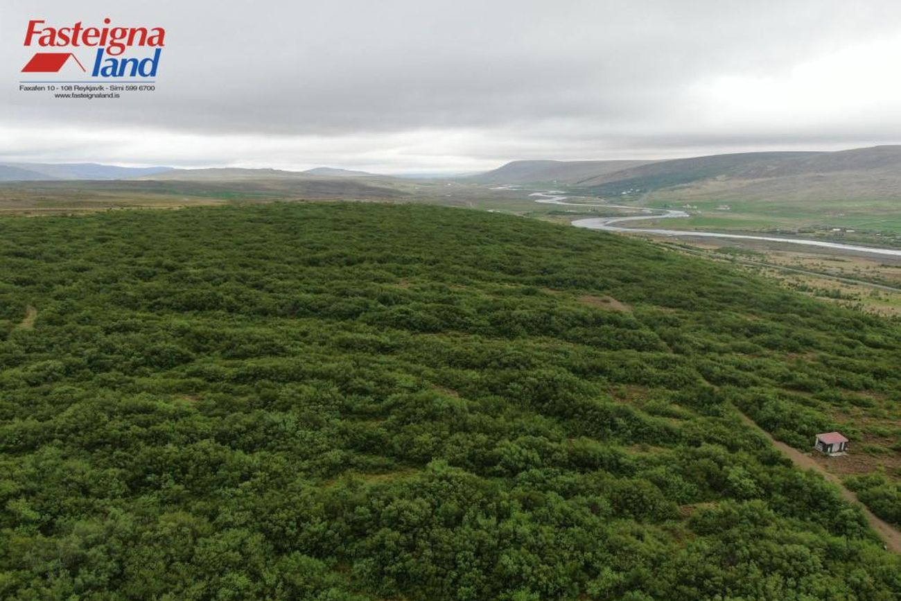 Brennubyggð 37