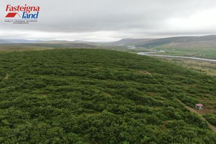 Brennubyggð 37