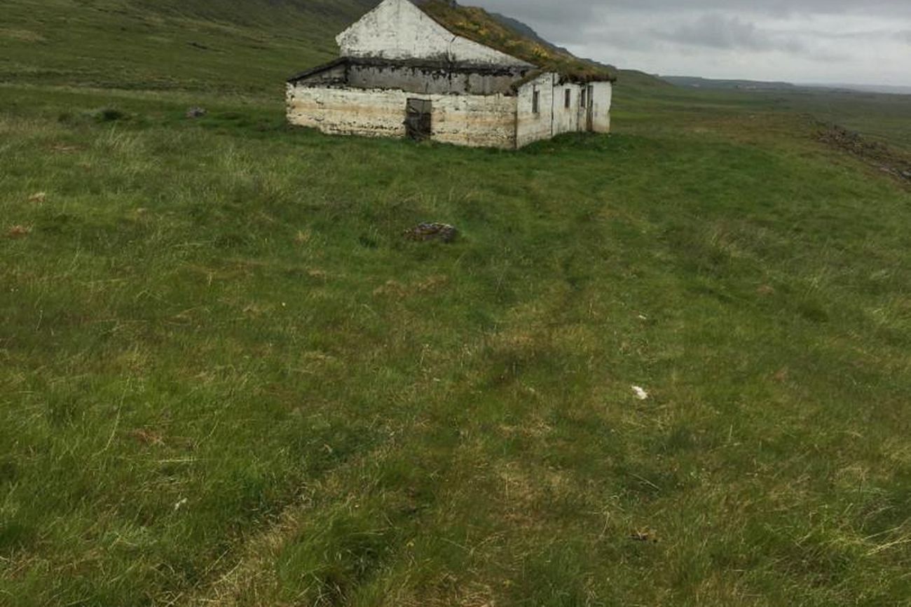 Selhagi