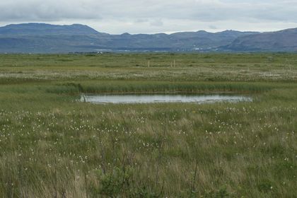 Suðurleið 30