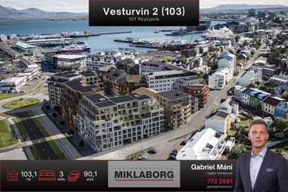 Ánanaust 3 (103)