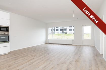 Lyngholt 19