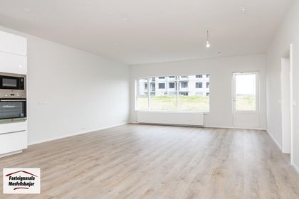 Lyngholt 5