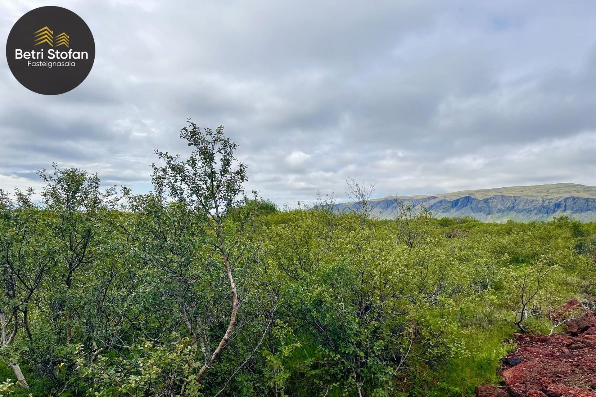 Álfabyggð 8