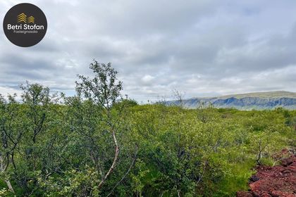 Álfabyggð 8