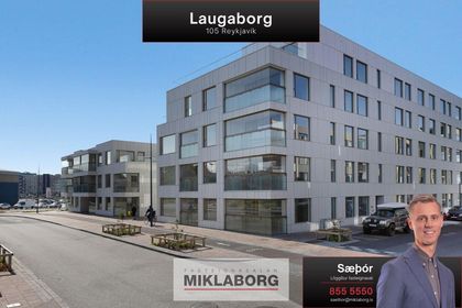 Laugaborg 0418