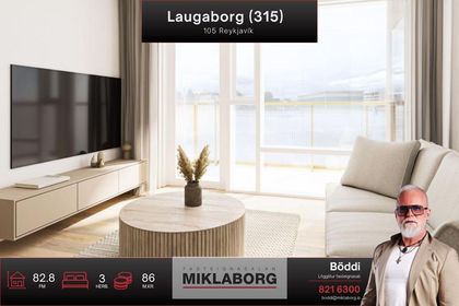 Laugaborg 315