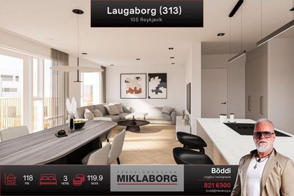 Laugaborg 313