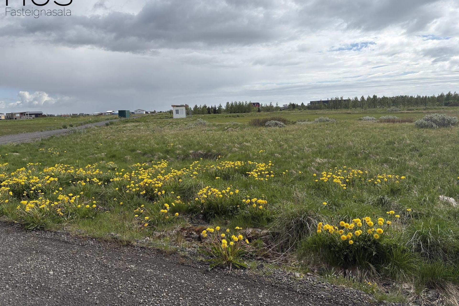 Norðurgata 25