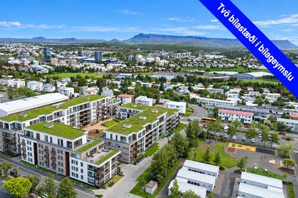 Skólatröð 6