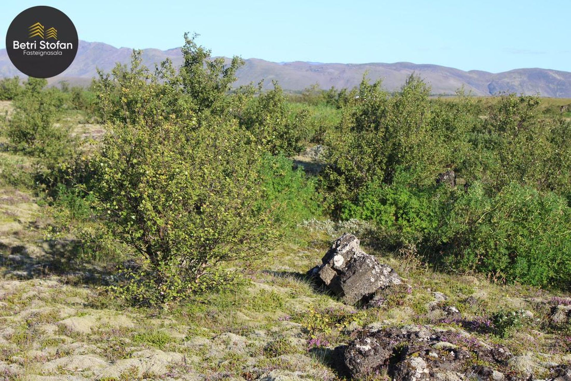 Efra-Fjallaland 16