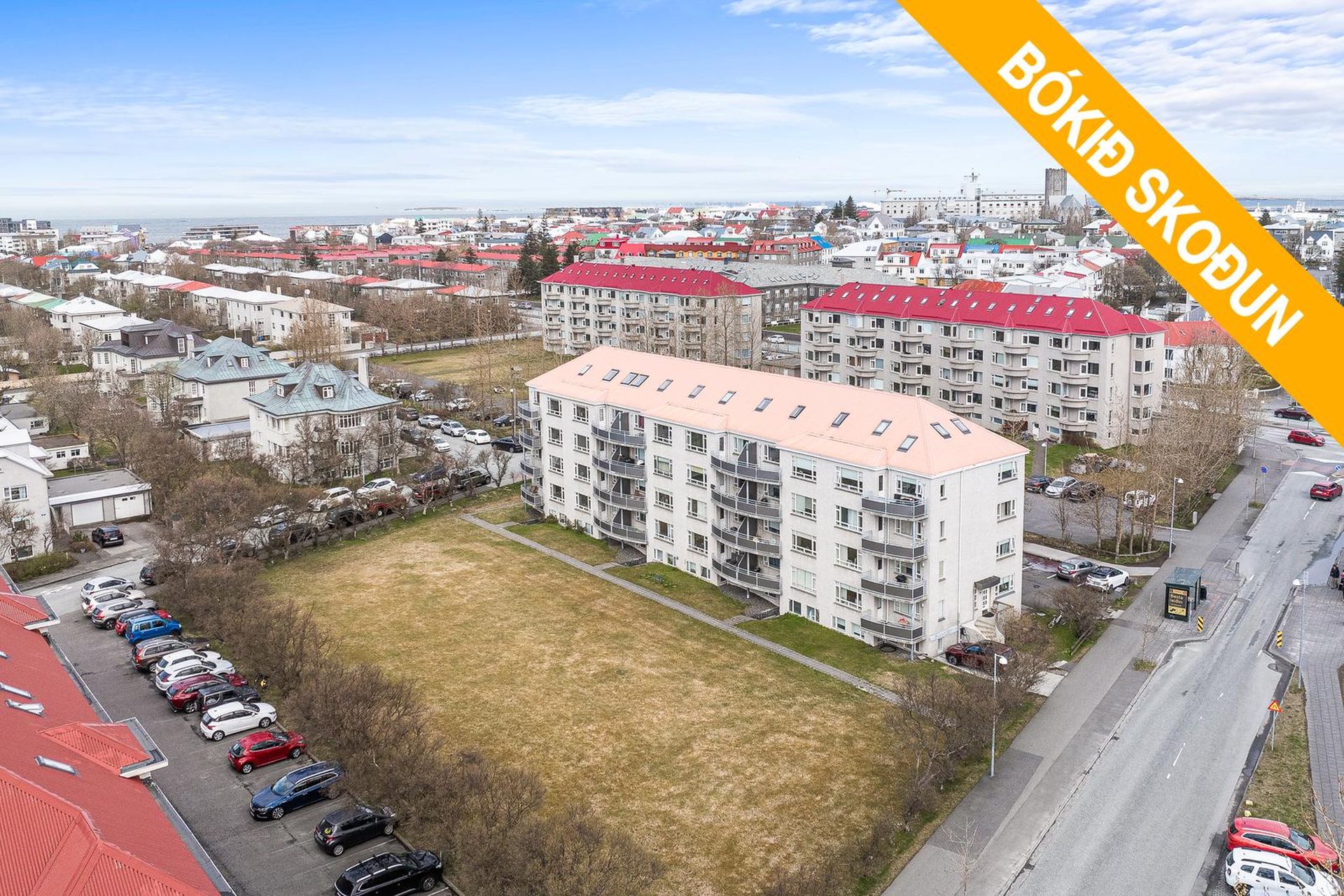 Víðimelur 23